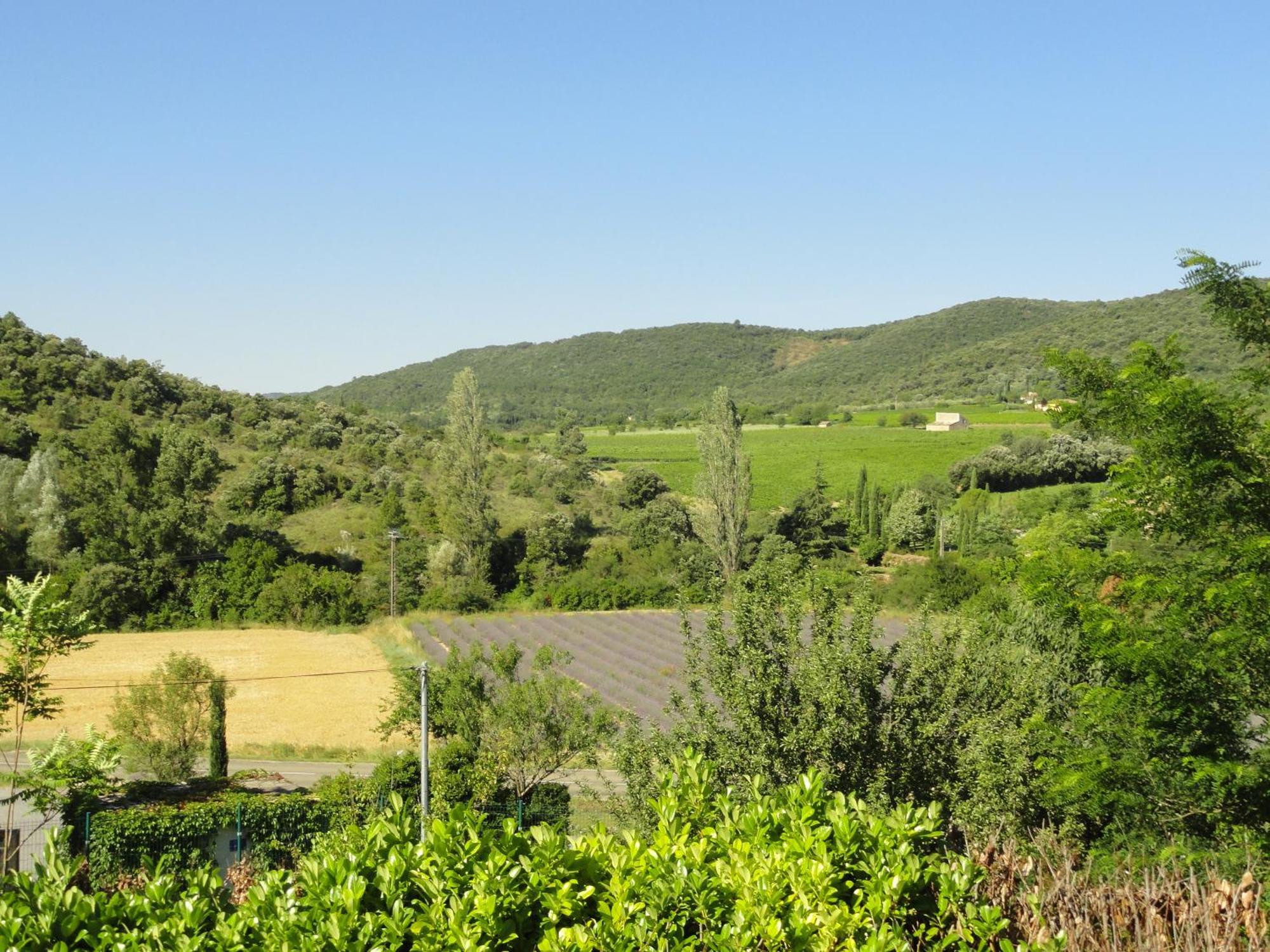Les Lauriers Roses Vallon Pont D'Arc Lagorce  Exterior photo